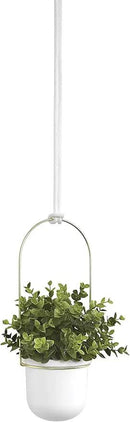 Umbra Triflora Hanging Planter for Window, Indoor Herb Garden, Set of 3, White/Brass by GreenHaven Gardens