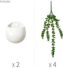 Dahey Wall Planters with Fake String of Pearls Plant Artificial Succulent Small Modern Ceramic Mounted Planter Round Hanging Wall Vase Display Holder for Indoor Garden Office Decor, Set of 2 by GreenHaven Gardens