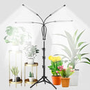 GHodec Grow Light with Stand, 5500K Full Spectrum Gooseneck Floor Plant Light for Indoor Plants Growing,5 Dimmable Levels & Auto On/Off Timer,Tripod Stand Plant Lamp Height Adjustable by GreenHaven Gardens