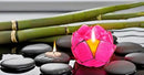 Blooming Lotus Capiz Shell Tealight Candle Holder, Handcrafted Decorative Tea Light Candleholder with Translucent Flower Petals for Ambient Illumination and Natural Elegance, Fuchsia by CozyNest Decor
