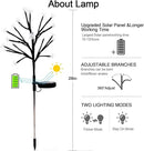 Solar Garden Lights Garden Decor, Solar Flowers Lights Outdoor Decorative,2Pack 40LED Solar Lights Outdoor Garden Waterproof for Outside Yard,Lawn,Patio,Pathway Decorations Gardening Gifts by GreenHaven Gardens