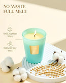 M&SENSE Summer Sea Air Scented Candle Home Decor, Natural Soy Wax,4.1oz 60 Hours Long Lasting Slow Burning, Aromatherapy Candle for Stress Relief by CozyNest Decor