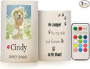 Vdsrup Flameless Candles Set of 2 Memorial Pet LED Candles with Timer Battery Operated Customize Candle Lights Flickering with Remote for Home Bedroom Decor by GreenHaven Gardens