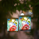 Starsoul 2 Pack Hanging Solar Lantern Outdoor Waterproof Glass Dragonfly and Lotus Decorative Solar Lights for Outside Garden Yard Table Patio Decor by GreenHaven Gardens