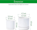 D'vine Dev 3.5 Inch & 4.7 Inch Ceramic Planter Pots for Plants with Drainage Hole and Saucer, X-Small Plant Pots Set, White, 94-G-XS-1 by GreenHaven Gardens