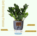 Vanavazon 6 Inch Self Watering Planter Pots for Indoor Plants, 3 Pack African Violet Pots with Wick Rope-Grey by CozyNest Decor