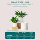 vancasso Ceramic Planters, Plant Pots for Indoor Plants, 6.25+8.25+10.25 Inch Ceramic Pots for Plants, Flower Pots with Drainage Holes, Planters Pot for Indoor House Plant, Set of 3, White by CozyNest Decor