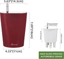 Dexceder 6x7 Self Watering Planter Indoor Outdoor, High Gloss Table Flower Plant Pot with Water Level Indicator (Wine Red) by GreenHaven Gardens