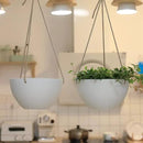 La Jolie Muse White Hanging Planter Basket - 8 Inch Indoor Outdoor Flower Pots, Plant Containers W/ Drainage Hole, Plant Pot for Hanging Plants, Pack 2 by GreenHaven Gardens