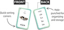Teacher Created Resources Phonics Flash Cards (EP62071), Medium by TinyTreasures Baby Boutique