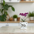 Orchid Pots with Holes Square Ceramic Orchid Planter Pots 5.5 inch (White) by GreenHaven Gardens