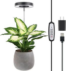 LORDEM Plant Grow Light, Full Spectrum LED Plant Light for Indoor Plants, Growing Lamp with Auto On/Off Timer, 4 Dimmable Brightness, Ideal for Indoor Plants, Black by GreenHaven Gardens