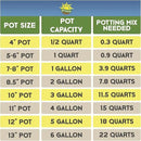 Aroid Plant Potting Soil Mix (8 Quarts), for Pothos Devil's Ivy, ZZ Plant, Chinese Evergreen, Dumb Cane, Philodendron, Syngonium, Alocasia, Colocasia Etc. by GreenHaven Gardens