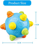 Toddler's Music Dancing Shake Ball - Move, Crawl, Bounce, Sensory Learning for Kids and Babies, Fun Gift for Both Boys and Girls by TinyTreasures Baby Boutique