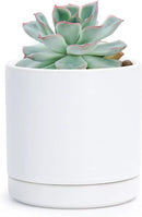 D'vine Dev 3.5 Inch Ceramic Planter Pot with Drainage Hole and Saucer, Indoor Cylinder Round Planter Pot, White, 94-O-A-1 by GreenHaven Gardens