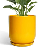 12 Inch Pots for Plants - Ceramic Planter for Outdoor Plants Large Plant Pot Indoor with Drainage Hole Modern Flower Pot for Home Patio Office Decor Yellow by GreenHaven Gardens