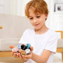 Rock Collection for Kids - 30 Pcs Rocks, Gemstones & Crystals Kit with Learning Guide,Mineral Education Set Geology Science STEM Toys, Earth Science Activity,Gifts for Boys & Girls by TinyTreasures Baby Boutique