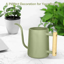 Watering Can Indoor Plants, 35 oz/1000 ml Metal Stainless Steel Watering Can Pot with Long Spout for Indoor House Plants Bonsai Outdoor Garden Flower Decorative (Sage Green) by GreenHaven Gardens