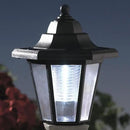 Bits and Pieces-Solar Bichon Lantern-Solar Powered Garden Lantern - Resin Dog Sculpture with LED Light by GreenHaven Gardens