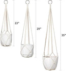 Dahey Macrame Plant Hanger Set of 3 with Hooks Indoor Hanging Planter Basket 35"/29"/23" Handmade Woven Cotton Rope Flower Pot Crochet Plant Holder Stand for Boho Home Decor No Tassels,Beige by GreenHaven Gardens