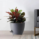 Large Self Watering Pots, 12/10/9 Plastic Planters with High Drainage Holes and Deep Reservoir for Indoor Outdoor Garden Plants and Flowers, Grey Speckles by GreenHaven Gardens