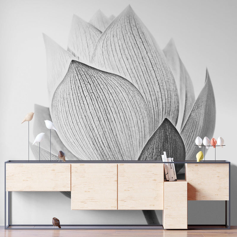 Black and White Lotus Flower Wall Mural