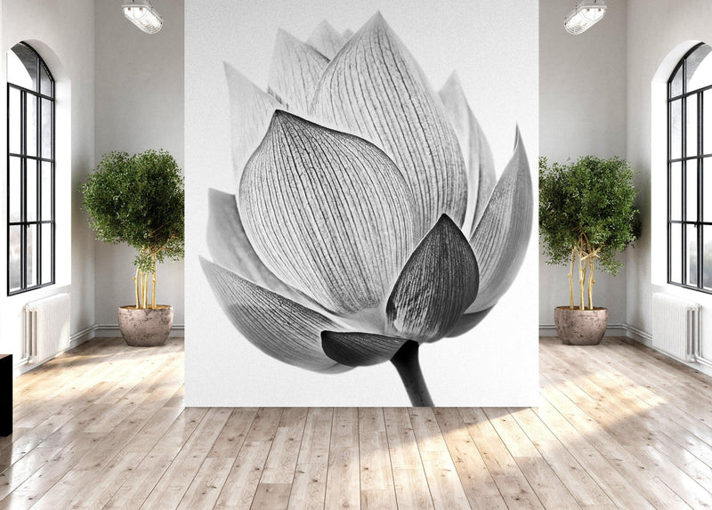 Black and White Lotus Flower Wall Mural