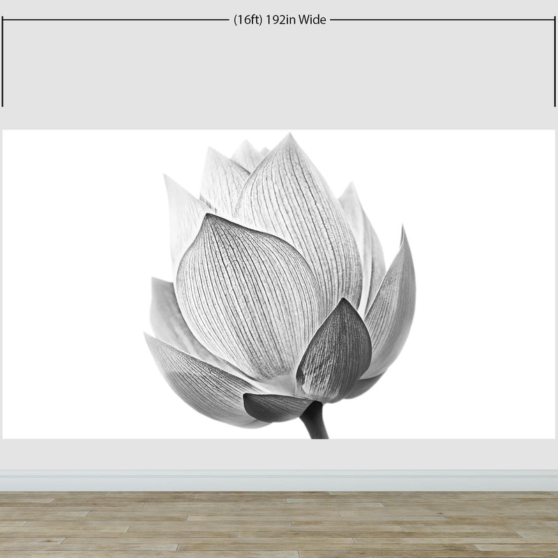 Black and White Lotus Flower Wall Mural