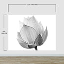 Black and White Lotus Flower Wall Mural