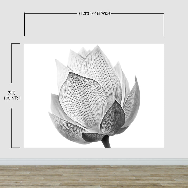 Black and White Lotus Flower Wall Mural