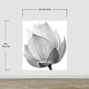 Black and White Lotus Flower Wall Mural