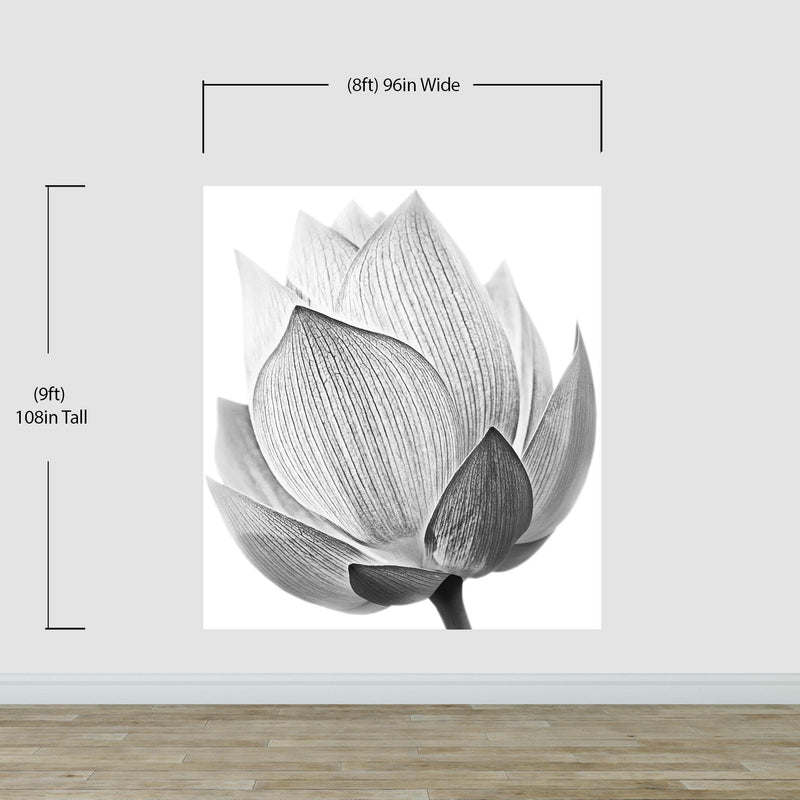 Black and White Lotus Flower Wall Mural