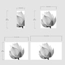 Black and White Lotus Flower Wall Mural