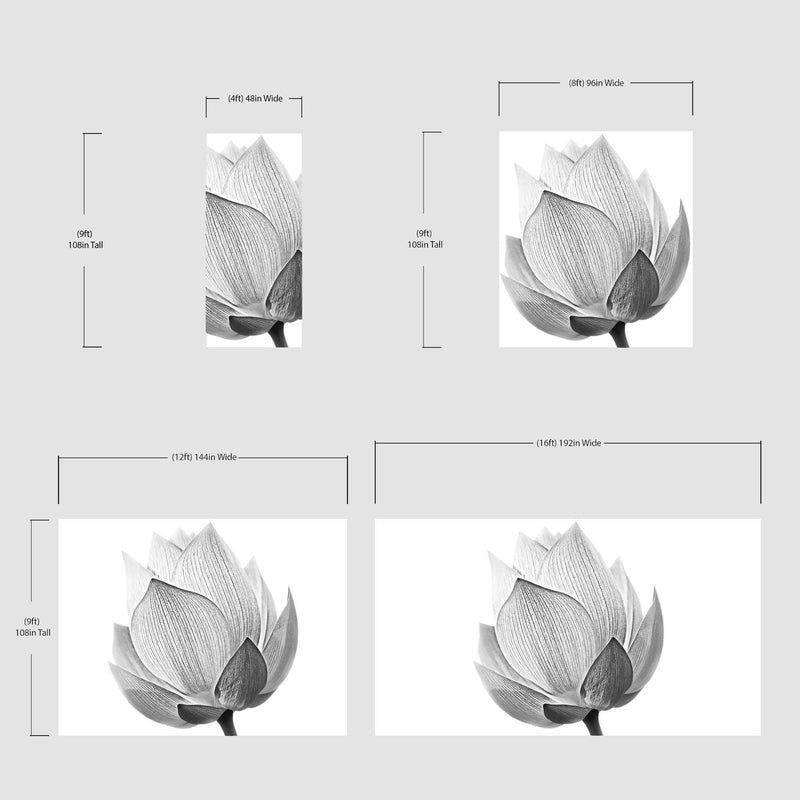 Black and White Lotus Flower Wall Mural