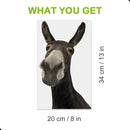 Funny Donkey Wall Decals - Peel and Stick Cute Window Stickers, Removable Vinyl Farmhouse Decor, Weird Gifts for Friends by CozyNest Decor