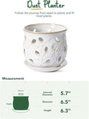 LE TAUCI Ceramic Orchid Pot, 6.5 Inch Orchid Pots with Holes, Orchid Planter for Repotting, Indoor Flower Plant Pot with Drainage and Saucer, Arctic White by GreenHaven Gardens