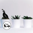 NUOBESTY 4pcs Metal Quail Garden Decorative Statues Standing Metal Quail Lawn Sculptures Ornaments Metal Quail Art Sculptures for Yard Garden Lawn Decor Animal Outdoor Decorations by GreenHaven Gardens