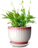 8 Inch Plant Pot, Ceramic Planter with Drainage and Saucer, Ceramic Pots for Plants, Indoor Plant pots,Flower pots(Pink + White, Plants NOT Included) by GreenHaven Gardens