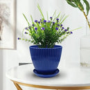 7.5/6.5/5.5/4.9/4.2/3.5 Inches Plant Planters 6 Pack, Thick Sturdy Plastic Pots for Plants, Indoor/Outdoor 6 Sizes Flower Pots with Drainage Holes and Saucers (6 Sizes,Dark-Blue) by GreenHaven Gardens
