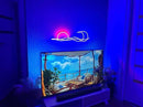 LED Decorative Lights USB Mountains Sunrise Sunset Led Neon Signs Home Decoration Wall Art Holiday Gift Brightness Adjustable 16.5''x9.5'' by CozyNest Decor