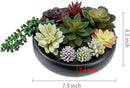 MyGift 8-Inch Artificial Succulent Plant Arrangement, Assorted Fake Plants in Modern Black Round Concrete Planter Bowl by CozyNest Decor