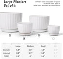 4/5/6 Inches Ceramic Plant Pots with Drainage Holes and Saucers, Round Flower Pots for Indoor Plant, Modern Flower Planters Set of 3 (White-Big Size) by CozyNest Decor