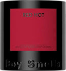 Boy Smells - Ash Scented Candles for Men and Women - 8.5 oz - Soy, Coconut Wax Candle Blend - Aromatic Candles for Home with Black Charcoal, Rare Woods and Clove - 50-Hour Burn - Cotton Wick by CozyNest Decor
