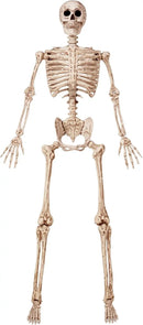 JOYIN 6.9 FT Halloween Skeleton Posable Plastic Full Body Realistic Human Bones with Movable Joints for Indoor Outdoor Halloween Props Spooky Scene Party Decorations（Yellow,No Screwdriver） by GreenHaven Gardens