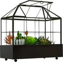 Large Tall Plant Terrarium Glass Greenhouse with Lid and Tray, Indoor Tabletop Orchid Succulent Cacti Kit 9.5'X9.8'X5.6' by GreenHaven Gardens
