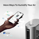 Dreo 6L Humidifiers for Bedroom, Smart Warm & Cool Mist for Large Room, 60Hr Quiet Runtime for Baby, Plant, Humidity Sensor, Indicator Light, 12H Timer, Google/Alexa, HM713S by TinyTreasures Baby Boutique