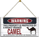Warning Sign, Camel Warning Wood Plaque Sign, Funny Door Signs, Decorative Wood Hanging Suspension Plaque, Farmhouse Wooden Wall Decor, Outdoor Hanging Wooden Signs by CozyNest Decor