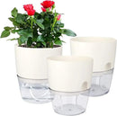 Vanavazon 6 Inch Self Watering Planter Pots for Indoor Plants, 3 Pack African Violet Pots with Wick Rope-White by CozyNest Decor