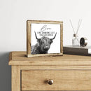 Funny Wood Sign, Cow Decor, Wooden Plaques Sign Table Decoration, Farmhouse Decorate for Shelf, Country Style Home Decor, Inspirational Decorate Signs, Live Like Someone Left the Gate Open Signs by CozyNest Decor
