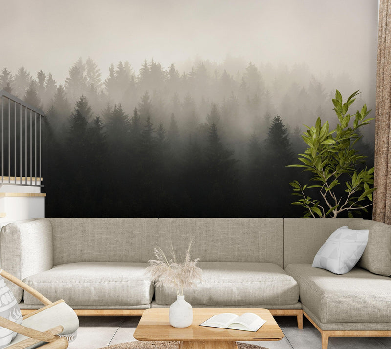 Misty Pine Forest Wall Mural. Peaceful Foggy Morning Scenery.